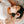 Load image into Gallery viewer, Pom Tee