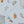 Load image into Gallery viewer, JH x KH Botanicals | Daisies