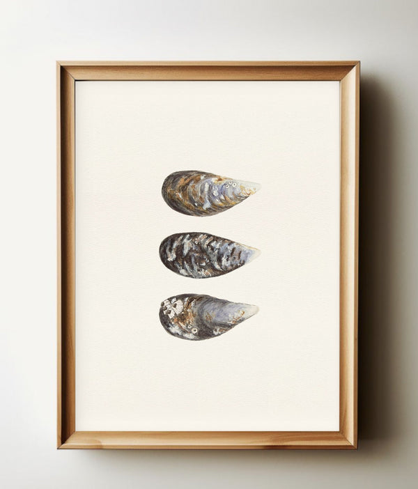 Mussels watercolour print in a natural wood frame
