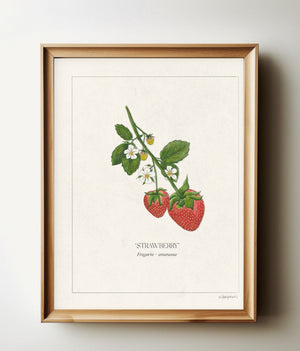 Strawberries botanical print in a natural wood frame