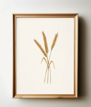 Wheat watercolour print in a natural wood frame