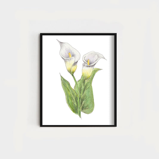 Callalily | Double