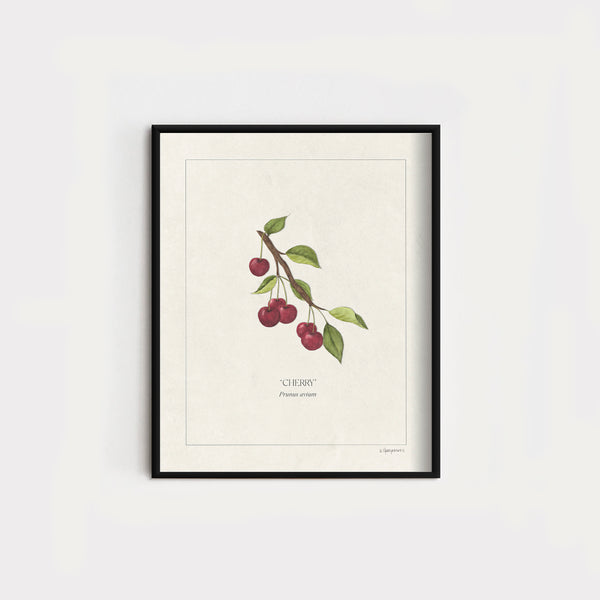 JH x KH Botanicals | Cherries