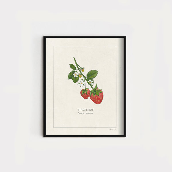 JH x KH Botanicals | Strawberries